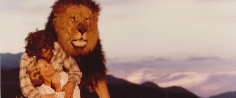Illustration for article titled Cómo se rodó Roar, la película más peligrosa de la historia que estuvo a punto de acabar con la vida de todo el reparto